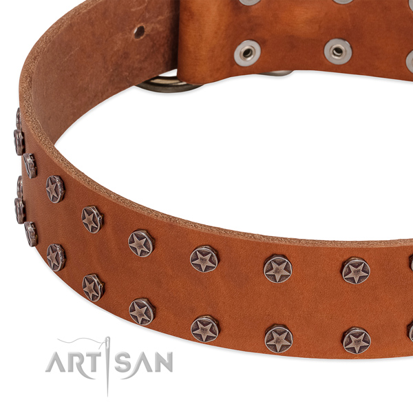 Amazing leather dog collar for easy wearing