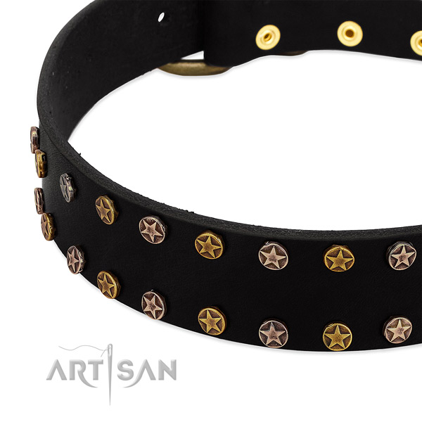 Exceptional embellishments on leather collar for your four-legged friend