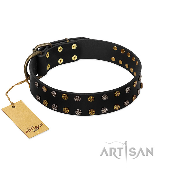 Stylish natural leather dog collar with strong adornments