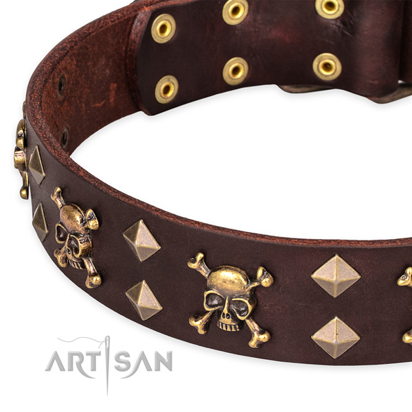 Fancy walking studded dog collar of fine quality full grain natural leather