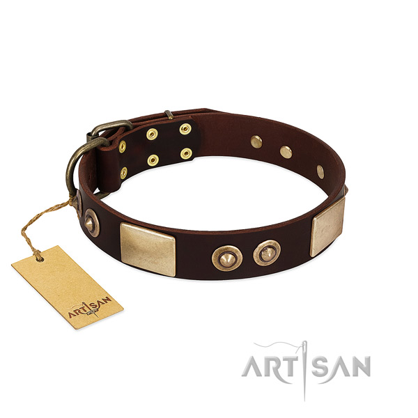 Adjustable leather dog collar for stylish walking your canine