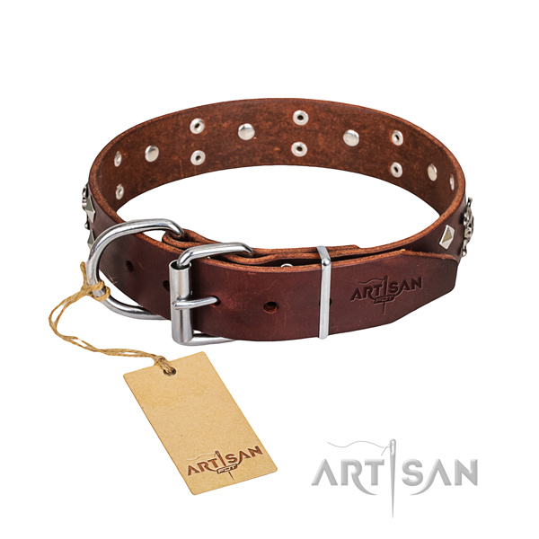 Everyday walking dog collar of fine quality leather with embellishments