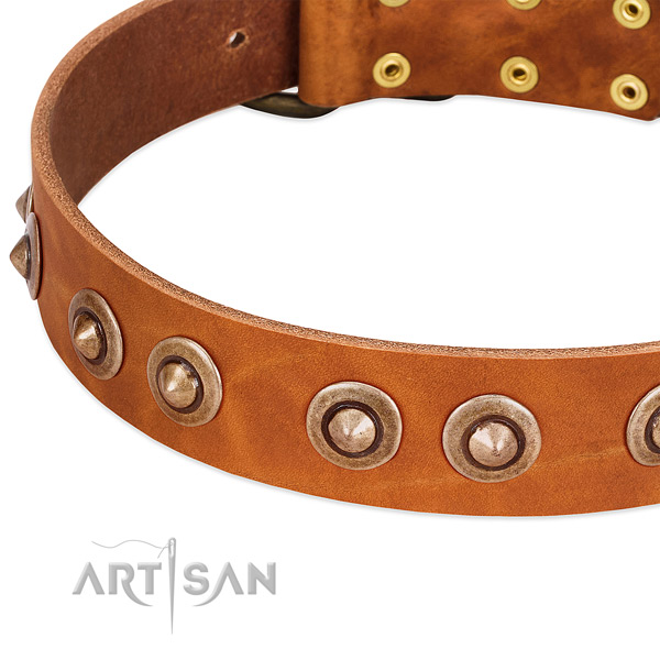 Rust-proof embellishments on full grain leather dog collar for your dog
