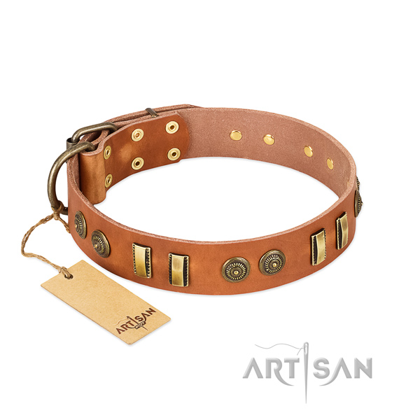 Rust resistant adornments on natural leather dog collar for your pet