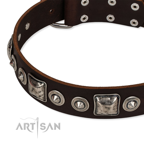 Full grain natural leather dog collar made of top notch material with decorations