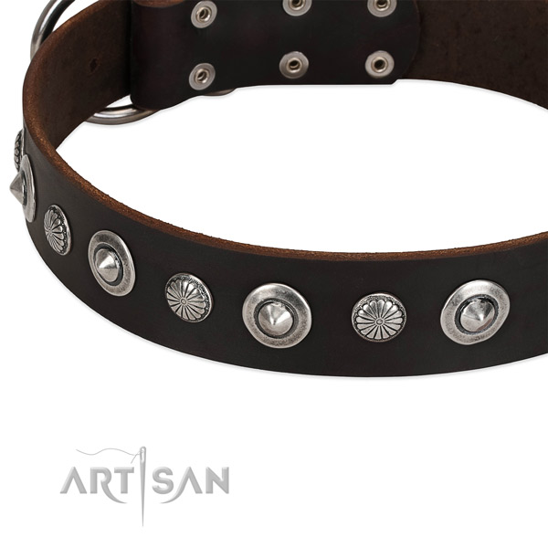Significant decorated dog collar of reliable leather