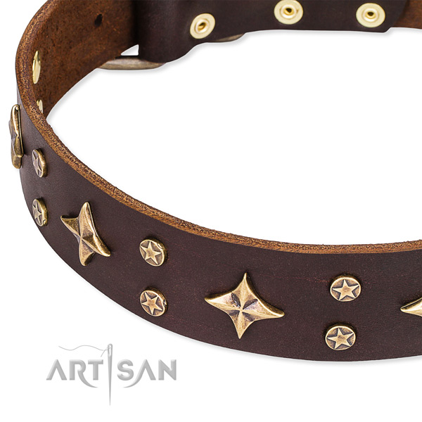 Stylish walking embellished dog collar of finest quality full grain leather