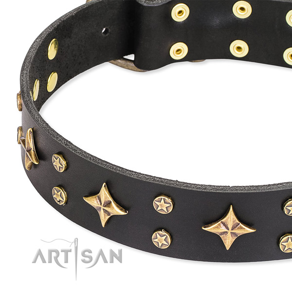 Basic training adorned dog collar of durable natural leather