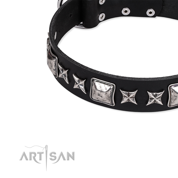 Daily use embellished dog collar of top quality full grain leather