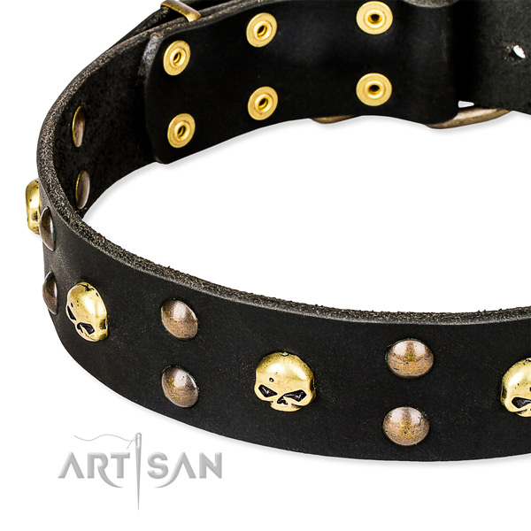 Everyday use decorated dog collar of high quality natural leather