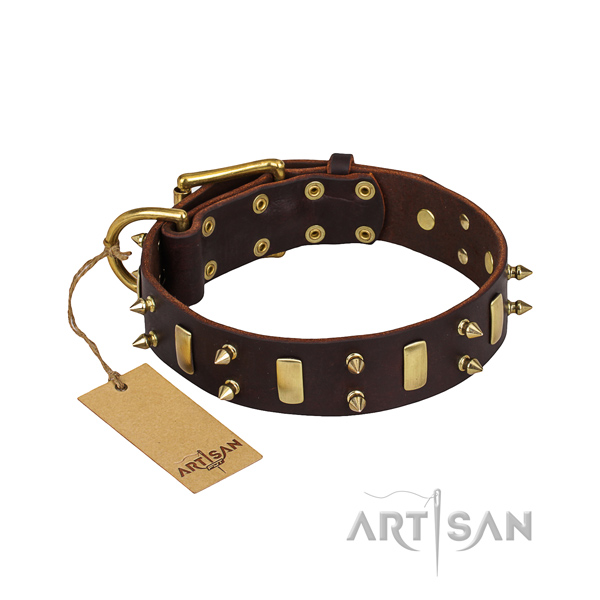 Stylish walking dog collar of top notch full grain natural leather with embellishments