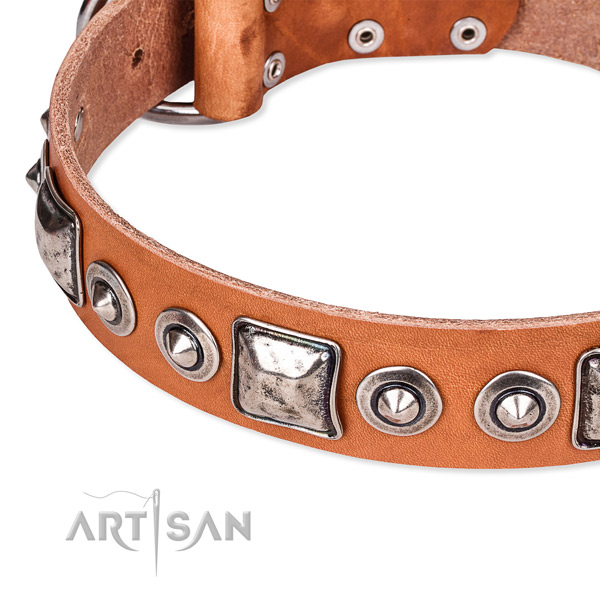 Reliable natural genuine leather dog collar handcrafted for your stylish canine
