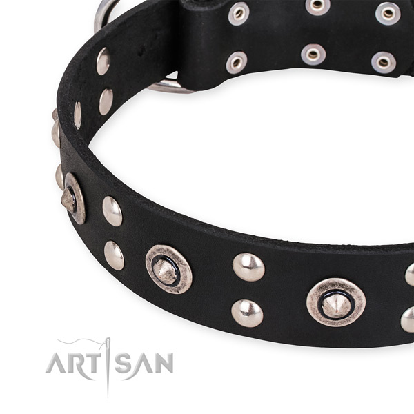 Leather collar with reliable hardware for your stylish doggie