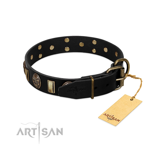 Genuine leather dog collar with reliable fittings and decorations