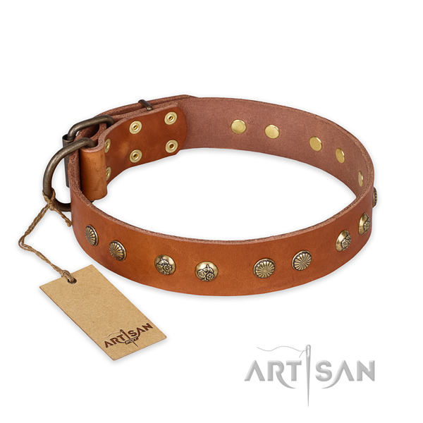 Unusual full grain natural leather dog collar with corrosion resistant buckle