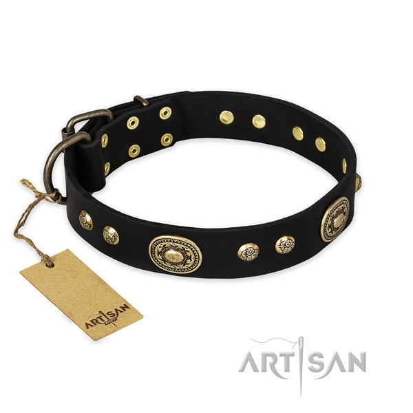 Trendy leather dog collar with reliable hardware