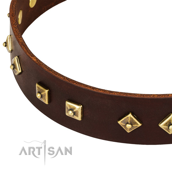 Inimitable genuine leather collar for your impressive four-legged friend