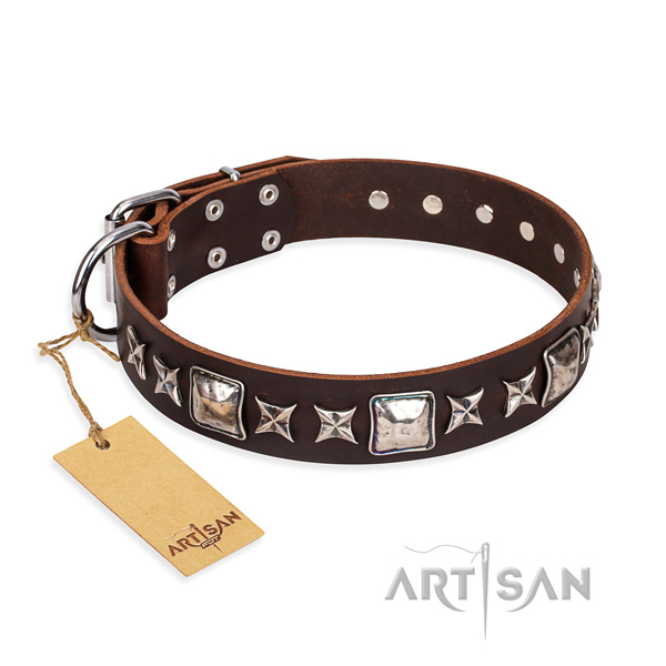 Walking dog collar of finest quality leather with adornments
