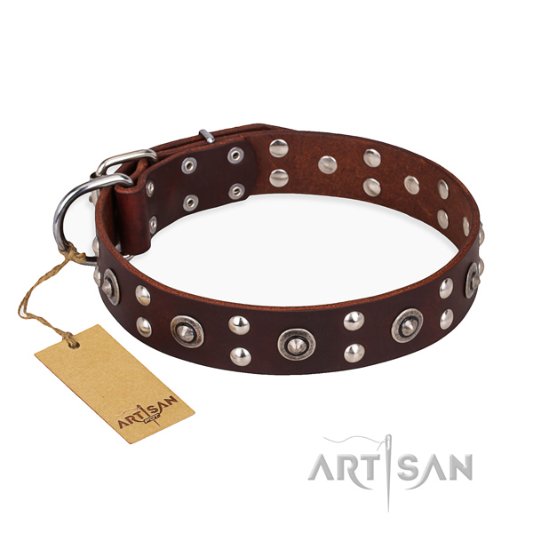 Walking top notch dog collar with rust resistant fittings