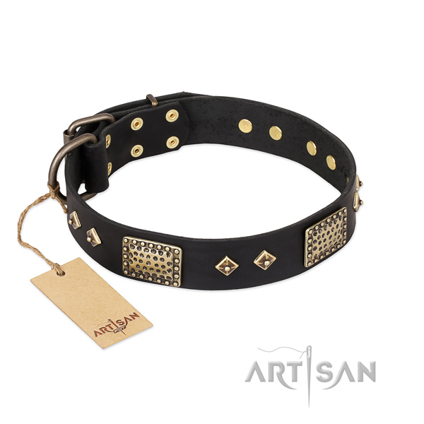 Stylish design full grain natural leather dog collar for stylish walking