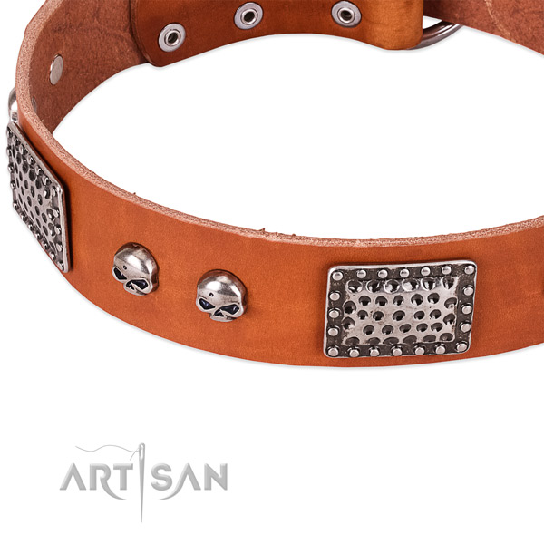 Corrosion resistant buckle on full grain natural leather dog collar for your four-legged friend