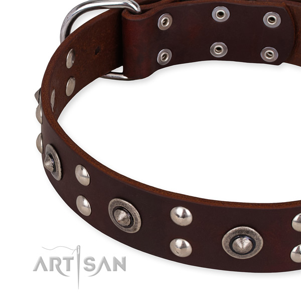Genuine leather collar with rust-proof D-ring for your impressive canine
