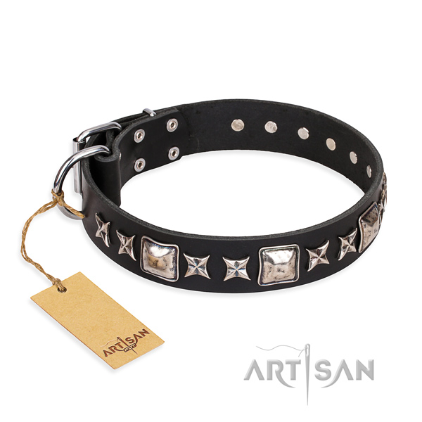 Comfy wearing dog collar of high quality natural leather with adornments