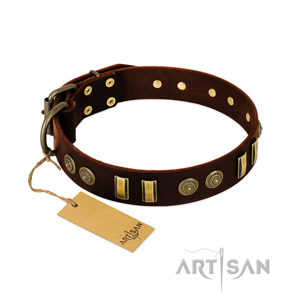 Rust-proof studs on leather dog collar for your dog