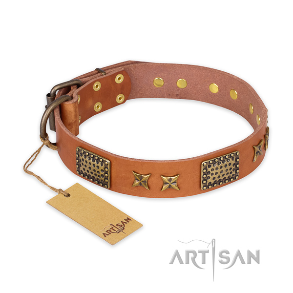 Extraordinary full grain leather dog collar with rust resistant fittings