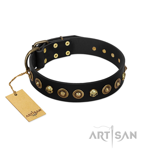 Natural leather collar with trendy studs for your four-legged friend