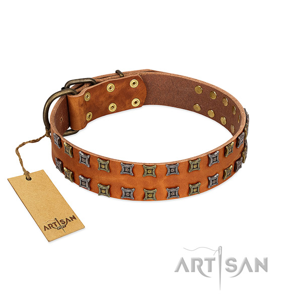 Reliable leather dog collar with adornments for your dog