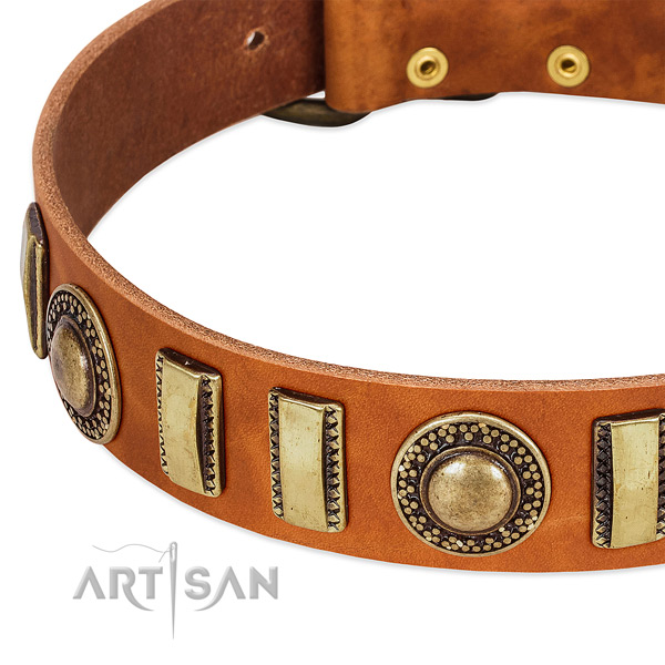 Reliable full grain leather dog collar with rust resistant hardware