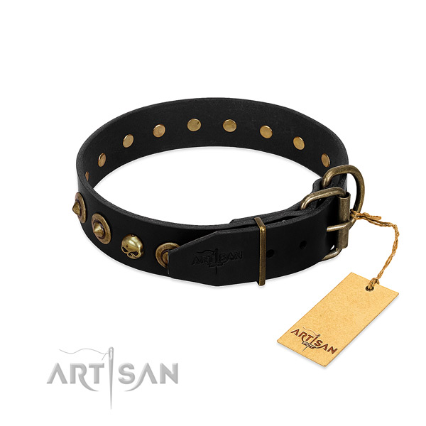 Genuine leather collar with extraordinary studs for your dog