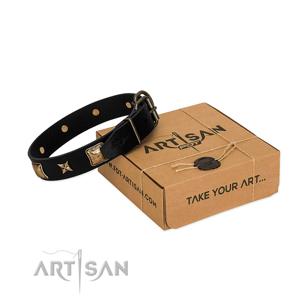 Rust-proof buckle on leather dog collar for walking