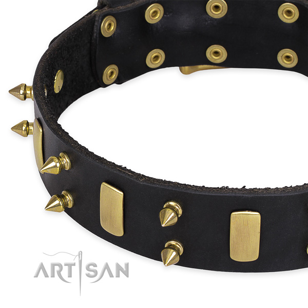 Everyday walking adorned dog collar of top quality full grain genuine leather