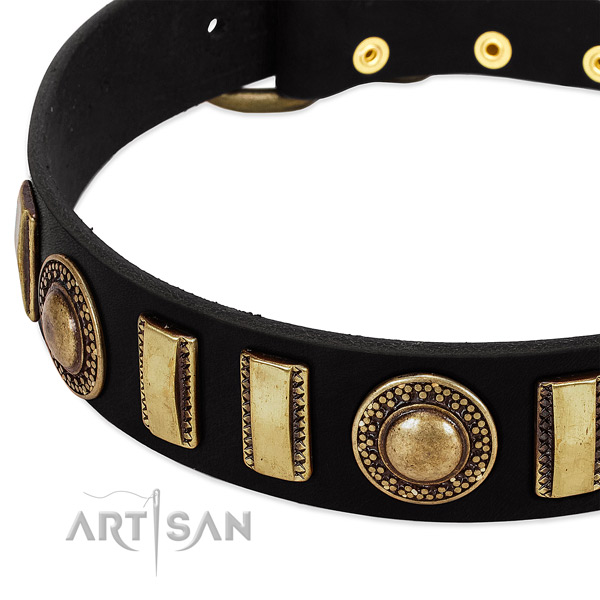 Top rate leather dog collar with reliable hardware