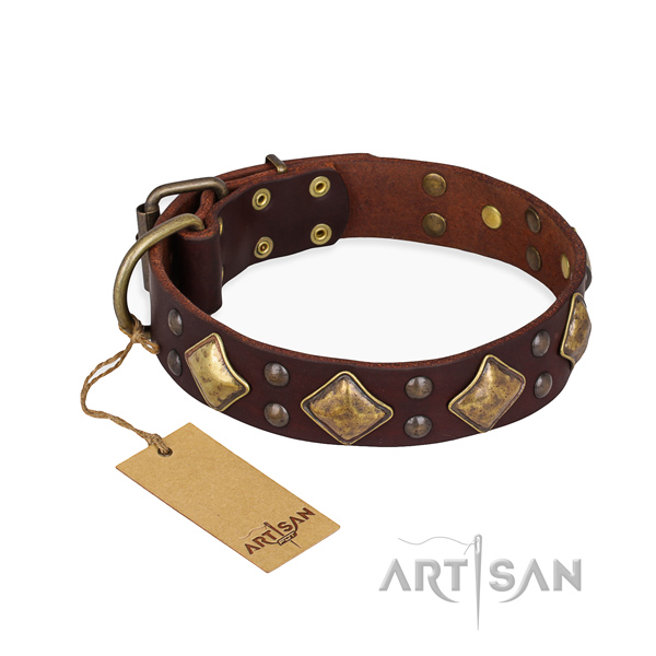 Handy use studded dog collar with durable hardware