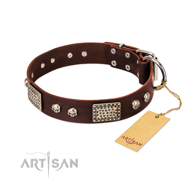 Easy adjustable genuine leather dog collar for walking your four-legged friend