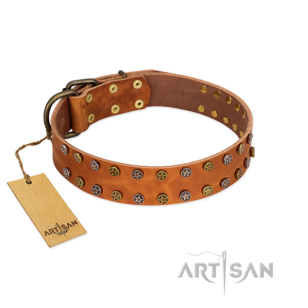 Daily walking best quality full grain natural leather dog collar with embellishments