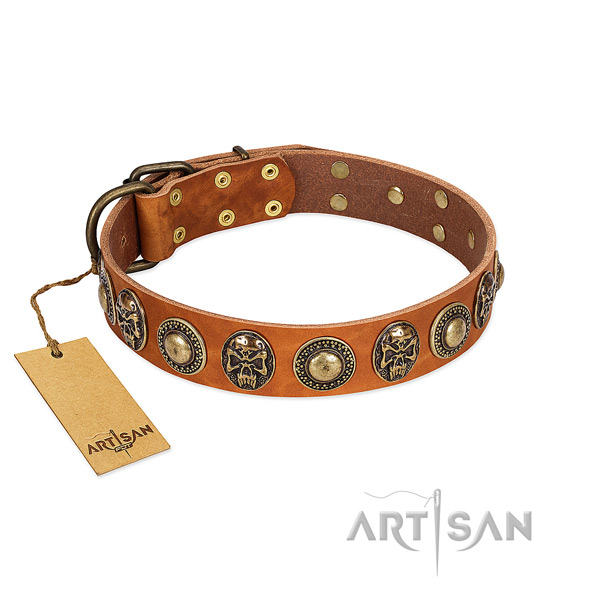 Easy to adjust natural leather dog collar for everyday walking your dog