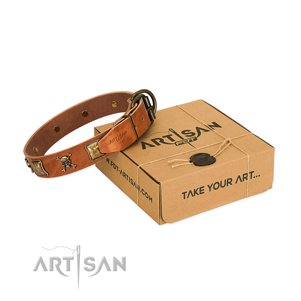 Extraordinary genuine leather dog collar with strong adornments