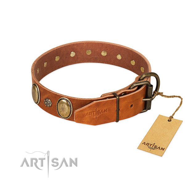 Daily use best quality genuine leather dog collar