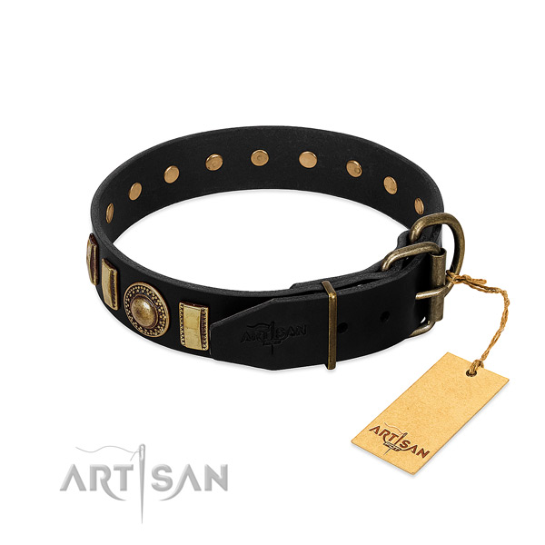 Top rate natural leather dog collar with embellishments