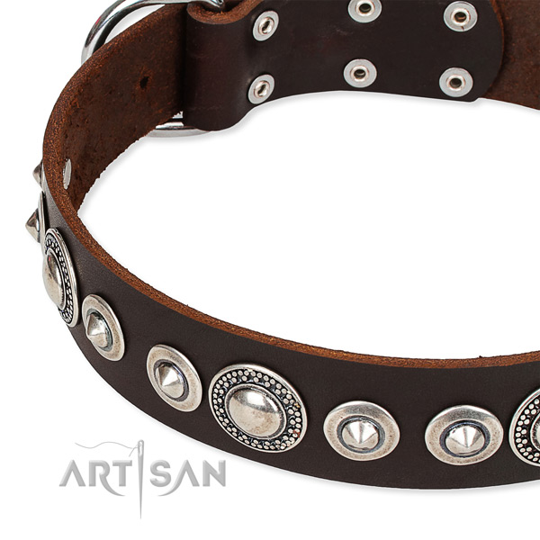 Everyday use adorned dog collar of finest quality full grain leather