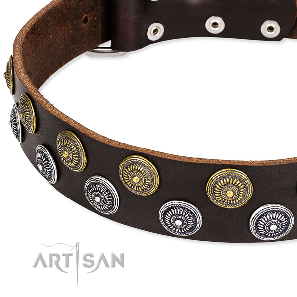 Everyday use decorated dog collar of best quality full grain genuine leather