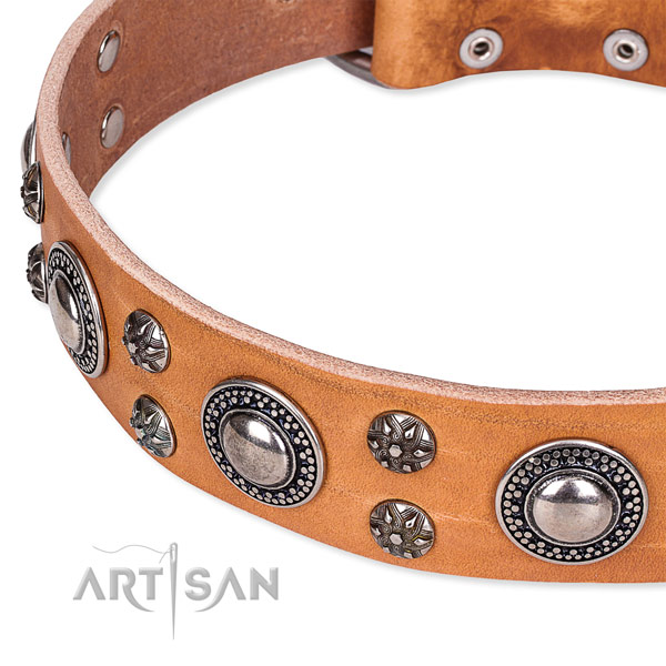 Comfy wearing studded dog collar of fine quality full grain natural leather