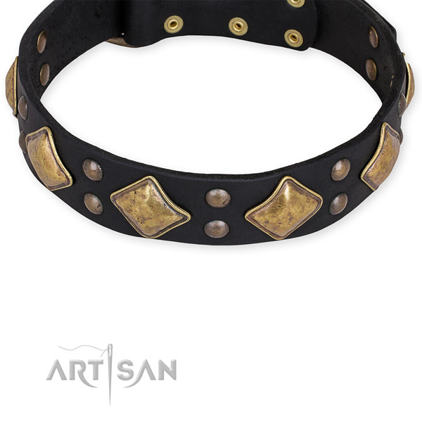 Leather dog collar with exquisite corrosion resistant embellishments