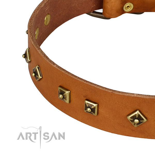 Handmade leather collar for your handsome four-legged friend