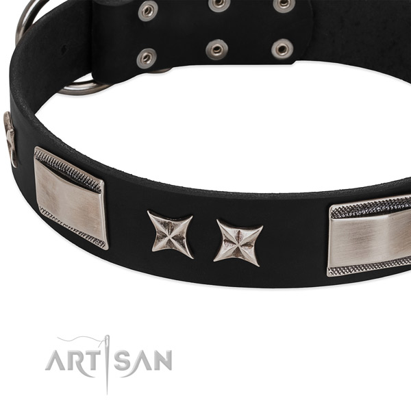 Quality full grain natural leather dog collar with reliable fittings