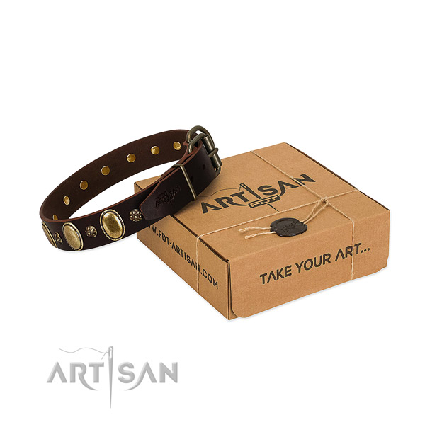 Everyday use quality full grain natural leather dog collar with studs